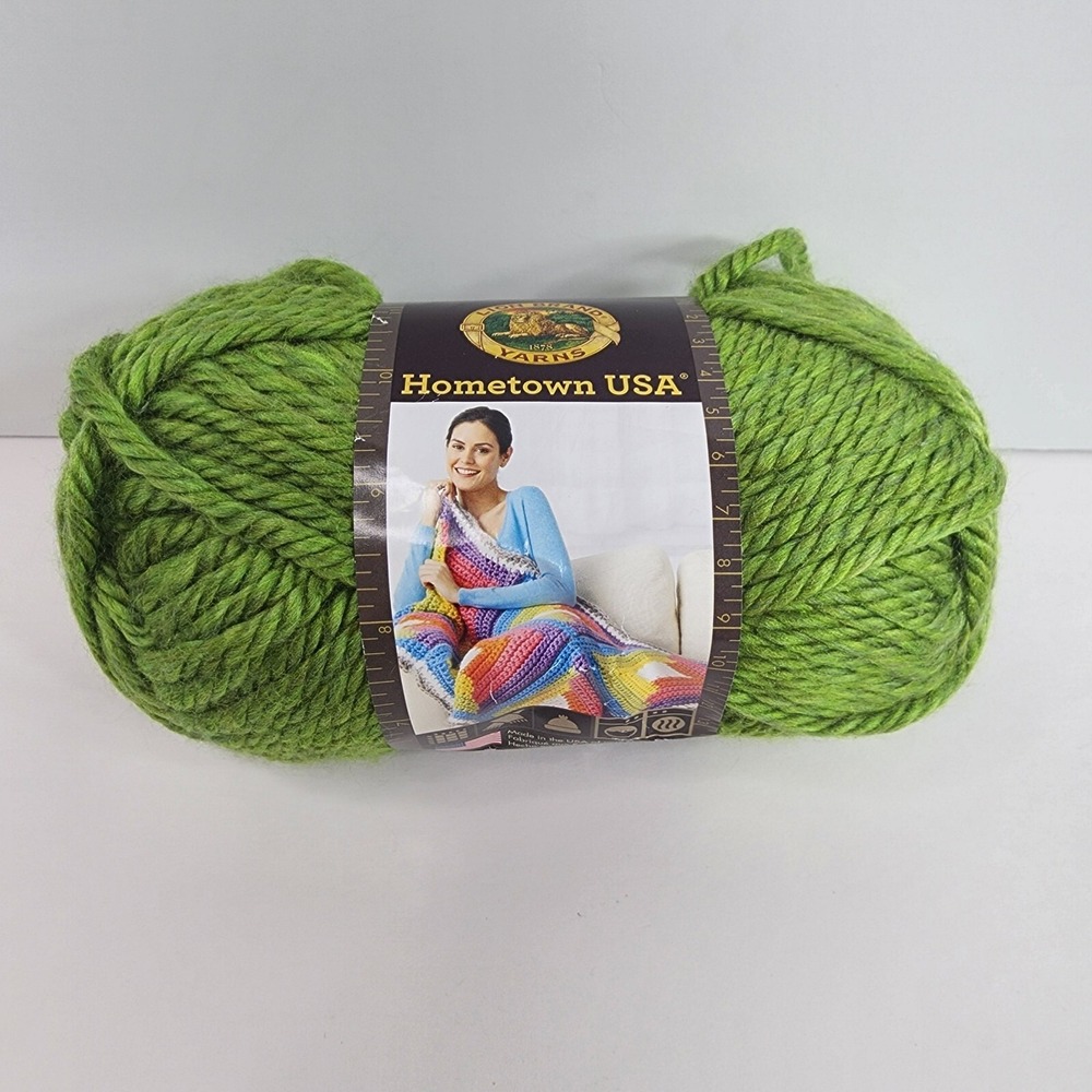 Lion Brand HOMETOWN USA YARN 'Oklahoma City Green' One 5oz Skein Super Bulky NWT